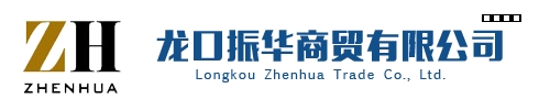 龙口振华仪表科技有限公司